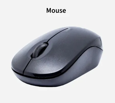 Mouse